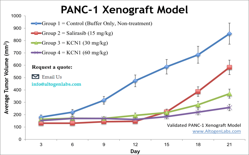 PANC1 Xenograft Model