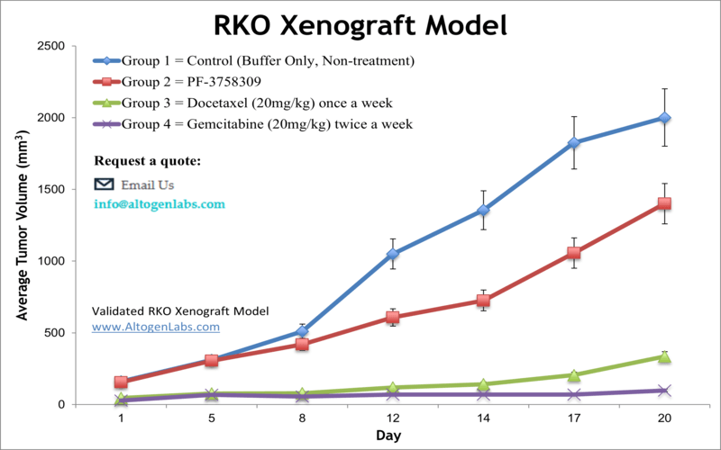RKO Xenograft Model