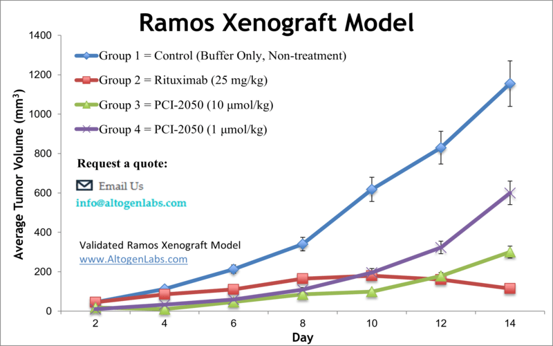Ramos-Xenograft-Model
