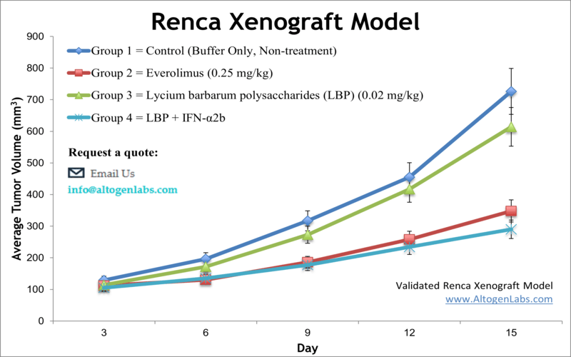 Renca Syngeneic Model