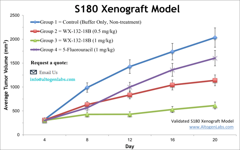S180 Xenograft Model