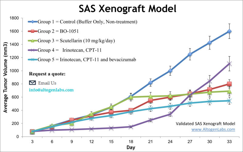 SAS Xenograft Model