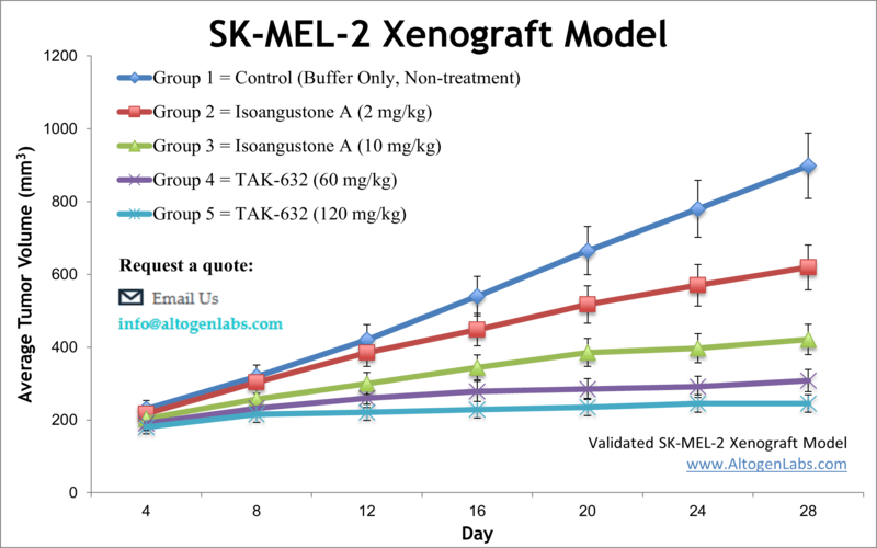 SKMEL2 Xenograft Model