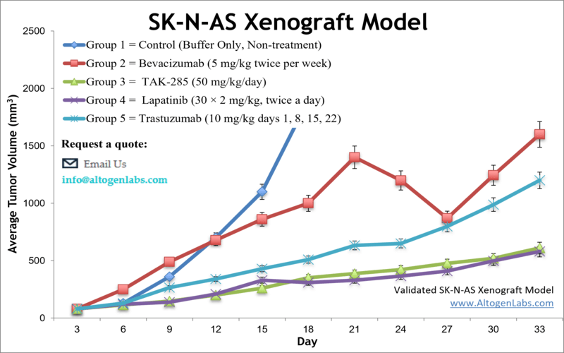 SKNAS Xenograft Model