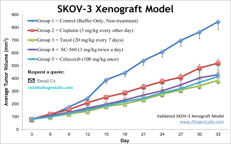 SKOV3 Xenograft Model