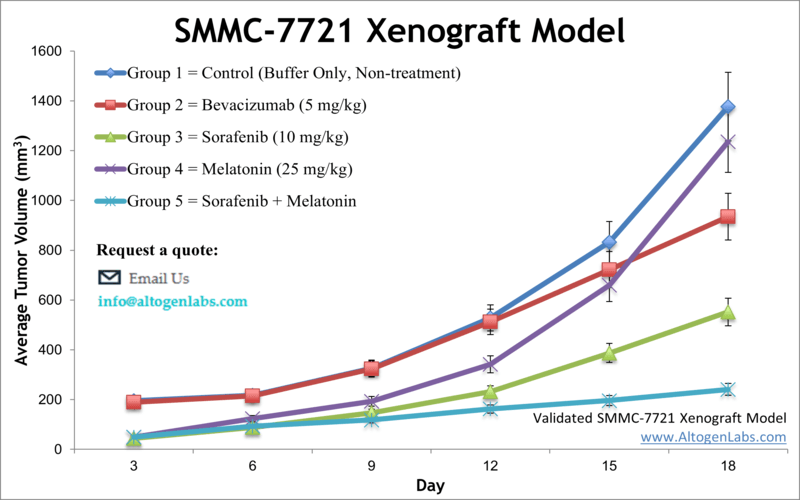 SMMC-7721 Xenograft Model