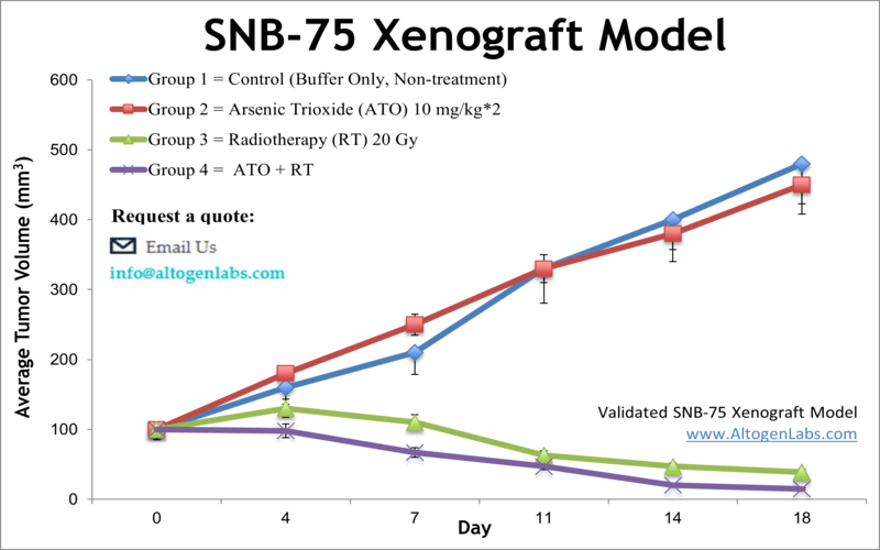 SNB75 Xenograft Model | Altogen Labs
