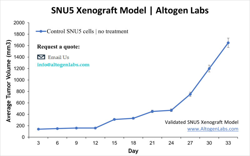 SNU5 Xenograft Model