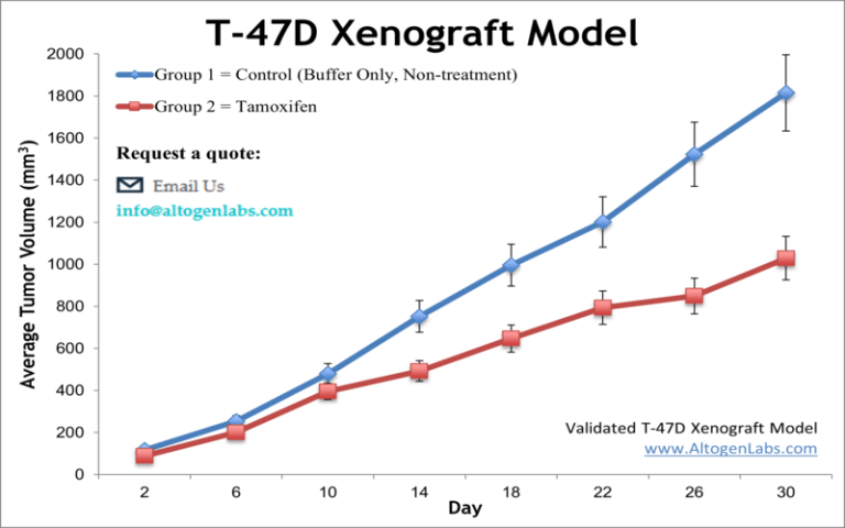 T 47d Xenograft Model Altogen Labs