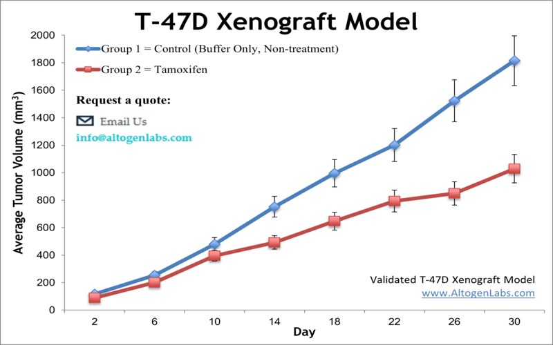 T47D Xenograft Model