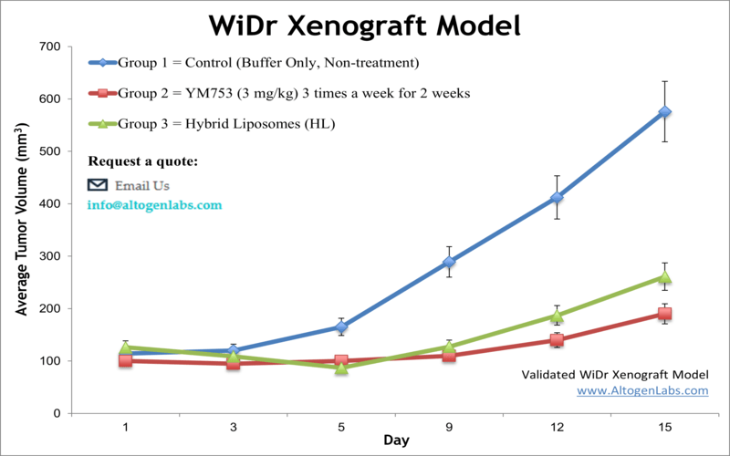 WiDr Xenograft Model