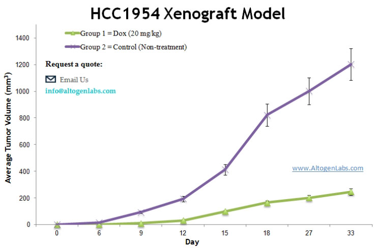 Validated HCC1954 Xenograft Model