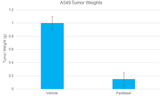 A549 Tumor Weights