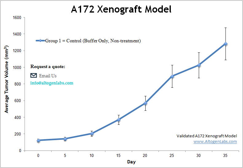 A172 Xenograft Model