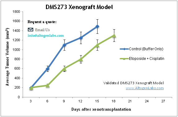 DMS273 Xenograft Model