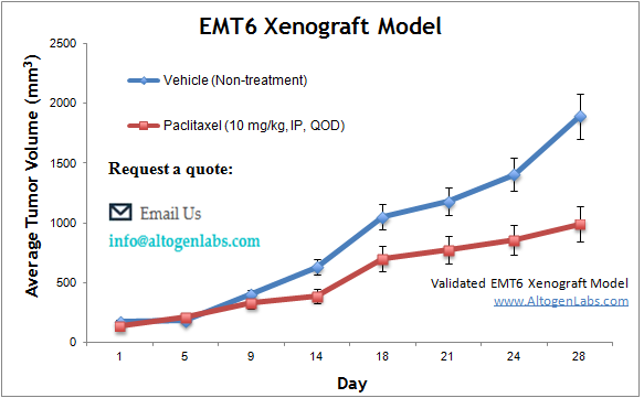 EMT6 Xenograft Model 