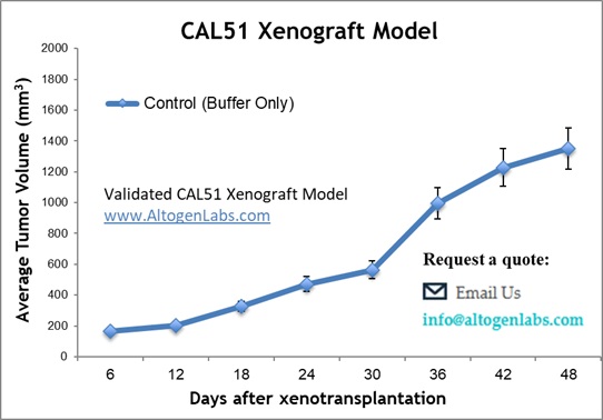 CAL51 Xenograft Model