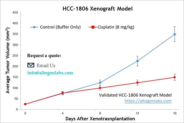 HCC1806 Xenograft Model