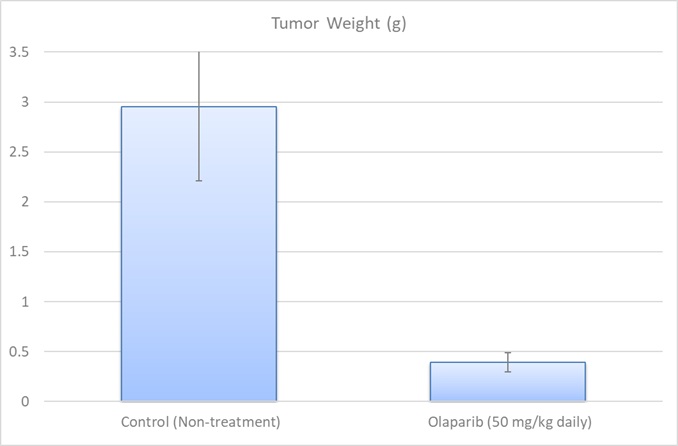 MCF7 tumor weight