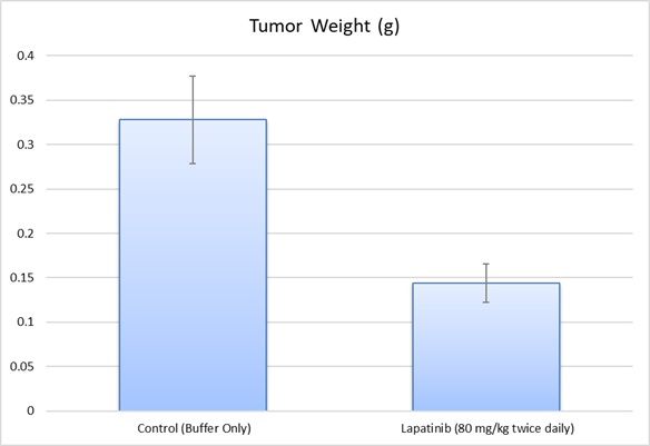 MDAMB453 Tumor Weight