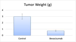 LS174 Tumor Weight